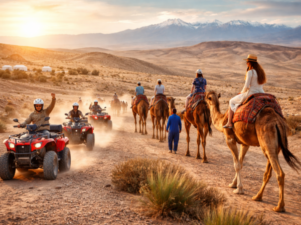 Half-Day in the Agafay Desert